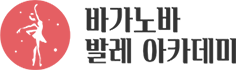 바가노바발레아카데미
